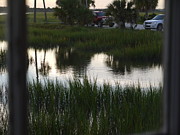 Bea Godwin - Swamp Reflection
